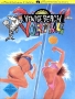 Nintendo  NES  -  Venice Beach Volleyball